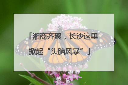 湘商齐聚，长沙这里掀起“头脑风暴”